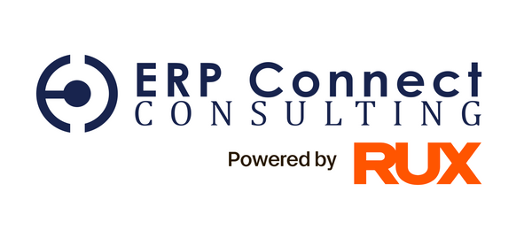 ERP Connect Consulting